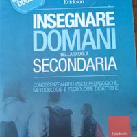 Insegnare domani nella scuola secondaria