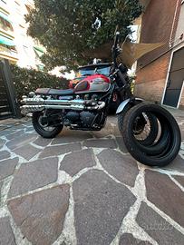 TRIUMPH SCRAMBLER 900