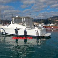Fisherman Americano Luhrs T 290  Valutiamo Permuta