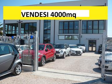 Grande Locale commerciale C-1 con 3.000mq piazzale