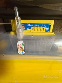 Incubatrice novital covatutto 54