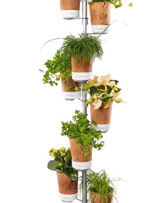 Urban Planty