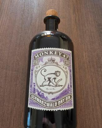 gin bottiglie vuote da collezione o arredamento