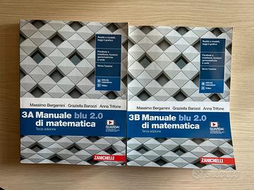 MANUALE BLU 2.0 di matematica