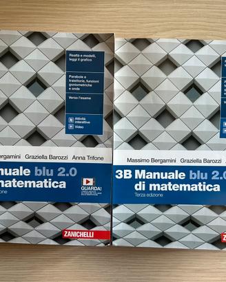 MANUALE BLU 2.0 di matematica