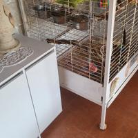 gabbia per pappagallo 