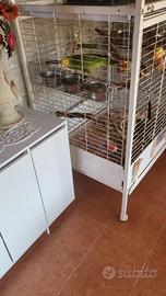 gabbia per pappagallo 