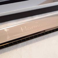 Armonica a bocca Gollnest & Kiesel  20 toni