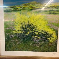 Franco azzinari litografia quadro