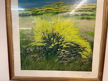 Franco azzinari litografia quadro