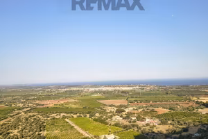 Terreno Edificabile - Noto
