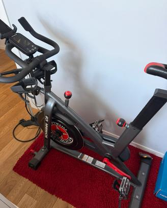Schwinn IC8