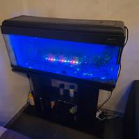 Acquario 80 Lt