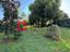Immagine 24
