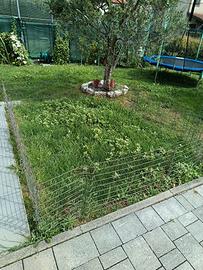 Recinzione