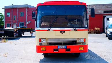 Fiat Vanhool 50 NC