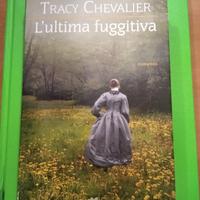 l'ultima fuggitiva romanzo