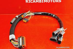 CABLAGGIO AUDIO HARLEY DAVIDSON TOURING