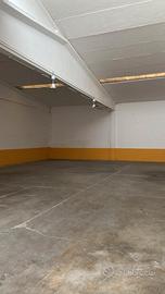 Capannone mq250 con area esterna