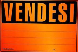 Terreno pascolo seminativo