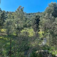 San vito terreno agricolo