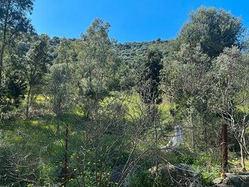 San vito terreno agricolo