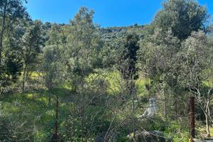 San vito terreno agricolo