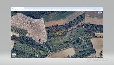 Terreno vitigno Andezeno