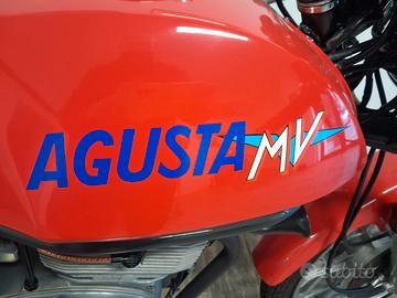 MV Augusta ipotesi