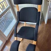 Stokke Gravity usata