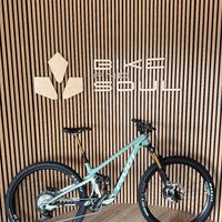 Pivot Trailcat LT Pro XT/XTR