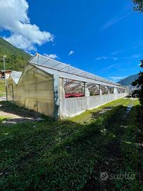Serra casetta  14x30m