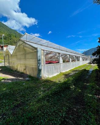 Serra casetta  14x30m