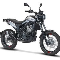 Beta Alp X 2026