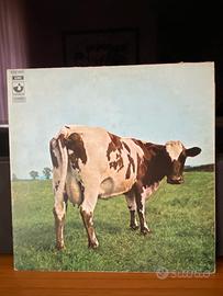 Dischi vinile 33 giri