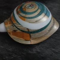 Tartaruga in porcellana Gattinoni