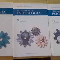 DIZIONARIO DI PSCOLOGIA  di Umberto Galimberti