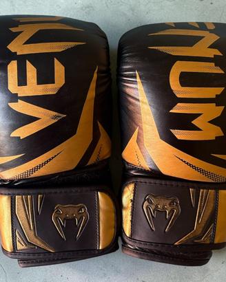 Guantoni Venum 10oz (incluso paio di fasce)