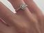Immagine 8