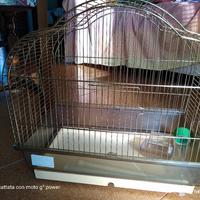 gabbia per uccelli 