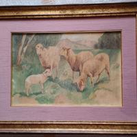 Quadro Campagne italiane "PECORE AL PASCOLO" 1923.