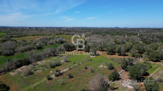 Terreno agricolo - Ostuni