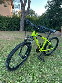 Bicicletta
