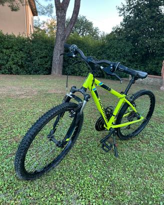 Bicicletta