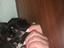 Immagine 1