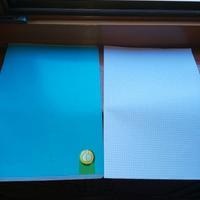 Quaderno righe 3 elementare + fogli prot. quadri