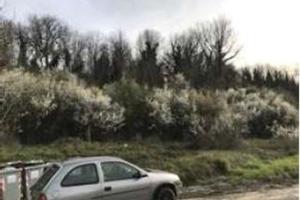 RGE 36/2017 - Tribunale di Urbino - Lotto 2