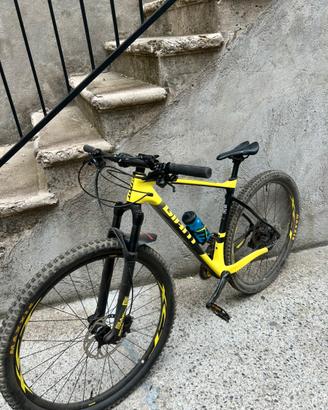 Bici giant
