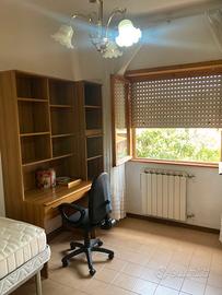 Stanza Singola zona Cassia/LaStorta/Olgiata