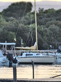 Barca a vela edel 2